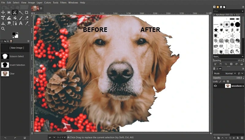 best background remover