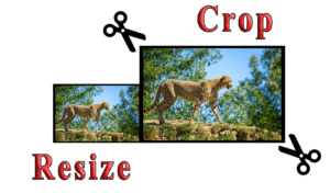 How to Resize Photo without Cropping in 2024 image